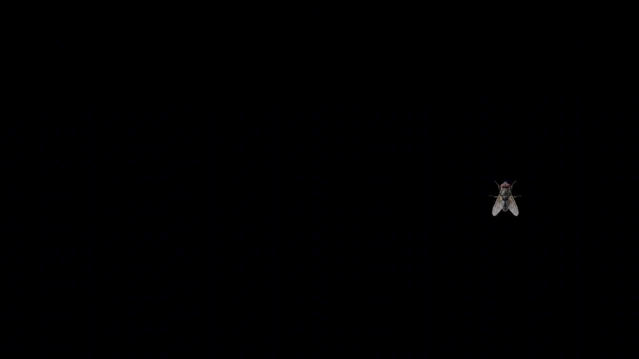 ⠀