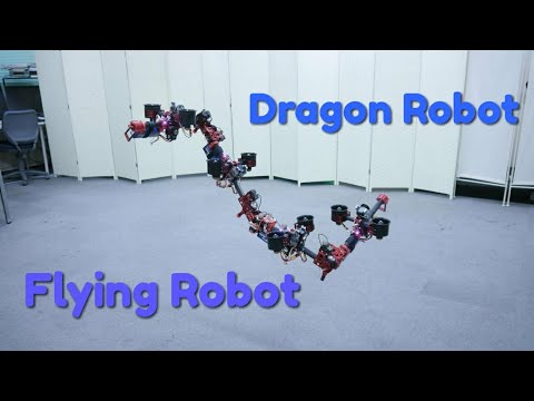The Dragon Robot | Flying Robot | RoboMaker