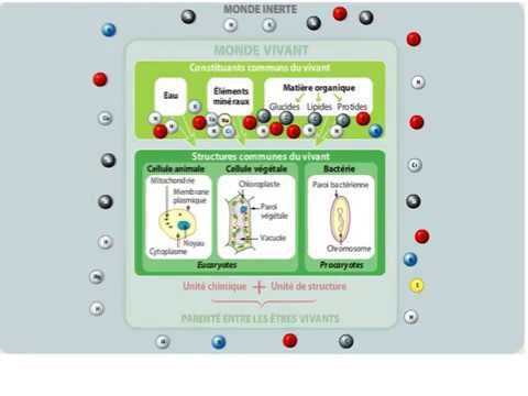 7 les molécules composant le monde du vivant 1