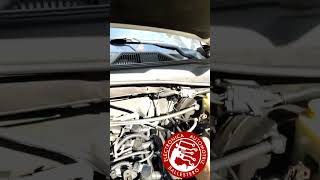 OBD p0883 significado