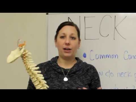 WHITEBOARD WEDNESDAY: How Poor Posture Contributes to Neck Pain