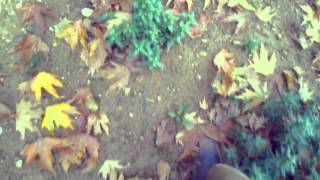 Laura Marling - Failure