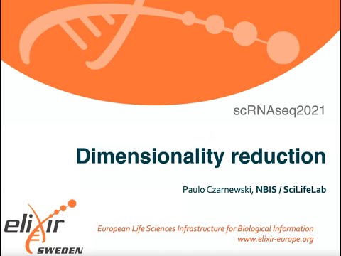 04 Dimensionality Reduction — 05 UMAP