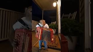 Monkey Vlog - Night Concert #monkey #vlog #funny