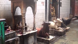 Temple video