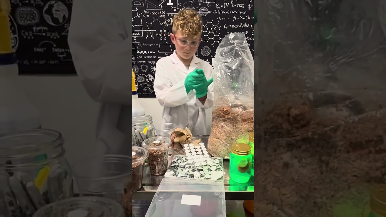 Mushroom Monster Cup