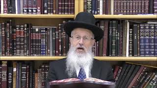 הגאון הרב אברהם יוסף שליט"א האם בתפילת ערבית של מוצ"ש יהיה מותר לומר את אתה חוננתנו במקום אתה חונן (הרב אברהם יוסף) - התמונה מוצגת ישירות מתוך אתר האינטרנט יוטיוב. זכויות היוצרים בתמונה שייכות ליוצרה. קישור קרדיט למקור התוכן נמצא בתוך דף הסרטון