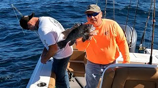 Top Fishing Expert Shares Best Jigging Techniques for Black Sea Bass!