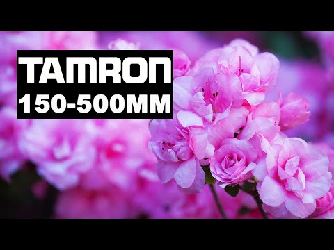 External Review Video G6zL1ul70Dk for Tamron 150-500mm F/5-6.7 Di III VC VXD Full-Frame Lens (2021)
