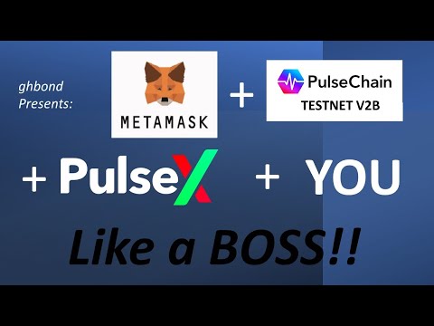 Add Pulse Chain TestNet V2B and PULSEX to your MetaMask or Other Wallet  Quickly and Easily!
