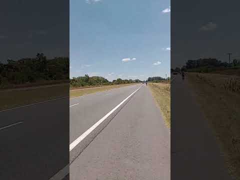 Ruta Nacional N°8. Pocos km antes de San Antonio de Areco. Buenos Aires