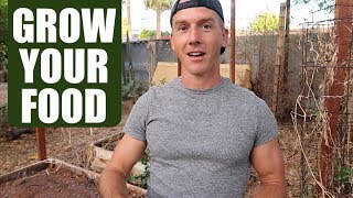 GROWING THE BEST FALL/WINTER GARDEN FROM SEED | Raised Bed Gardening in a Backyard!