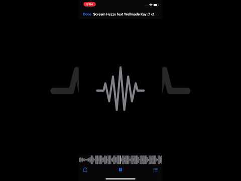 Scream Hezzy - fck da btch feat Wellmade Kay