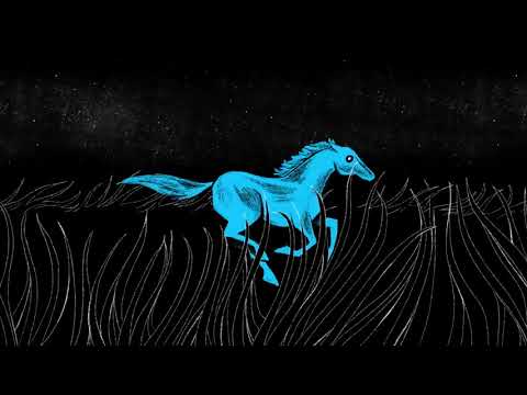 Wish Hounds - Thoroughbreds (Official Audio)