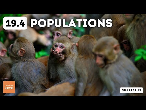 IGCSE Biology - Populations (19.4)