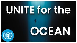 Now Is the Time to Save Our Ocean | United Nations