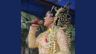 Download lagu DI BUAI MIMPI mp3