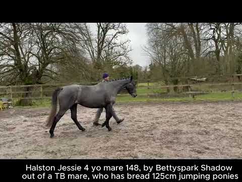 Halston Jessie by Bettyspark Shadow CP xTB - Image 2