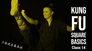 Kung Fu Square Basics | Class 14 | Kung Fu Foundation | Shaolin Kung Fu | UK Shaolin Temple