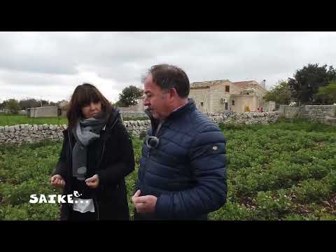 La Fava Cottoia di Modica