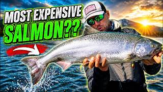 Lower Columbia River Spring Salmon Fishing With Gone Catchin Outfitters