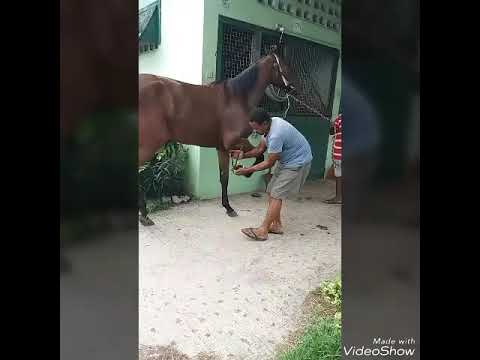 Short Boss "i gottah get payed " official video "