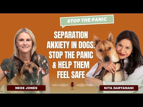 Working Pet Parents & Anxious Dogs A Holistic Guide to Separation Anxiety in Dogs