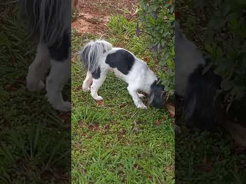 PRAÇA DO SANTUÁRIO LUZ MINAS GERAIS 🙏 🙏