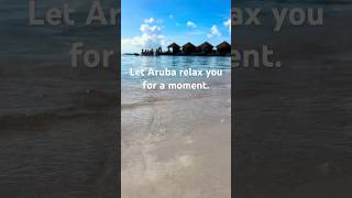 A Perfect Cruise Day in Aruba 🇦🇼