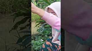 Download lagu cewek cantik mancing copot sarungnya #shorts #mancing #cantik mp3 Download lagu cewek cantik mancing copot sarungnya #shorts #mancing #cantik mp3