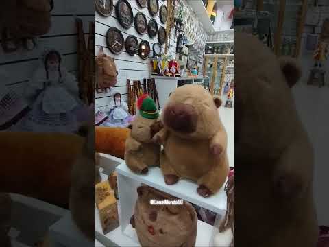 Vila Germânica em Blumenau é sempre linda! ❤️