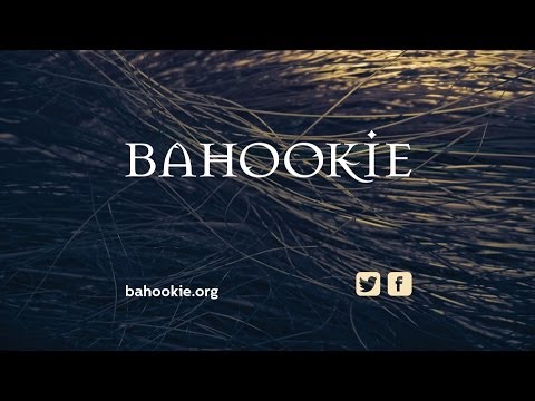 Bahookie Promo Video 2016