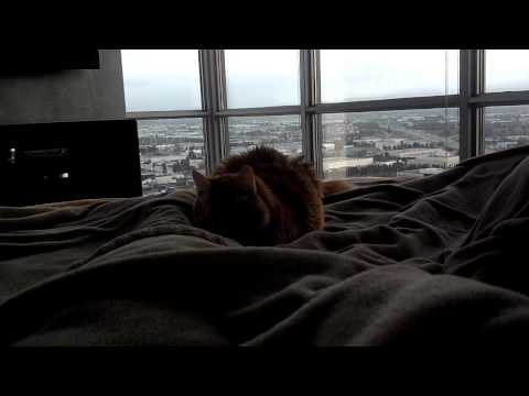 What Wakes Me Up Every Morning!