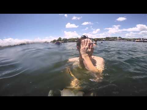 IST ProEar 2000 review