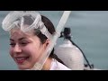 Miranda Cosgrove Swims With Dolphins While Learning Science Behind Seismic Testing Oceana
