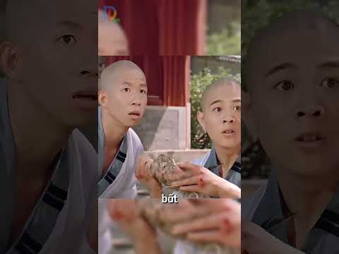 Tiến thoái lưỡng nan trong chùa, Cứu chim hay cứu giun?