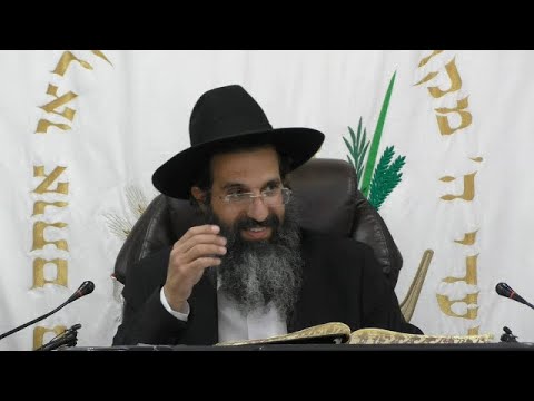 הלכות כיבוד אב ואם - ח' - בסבר פנים יפות | יורה דעה - סימן רמ | חלק 255 | הרב שי עובד