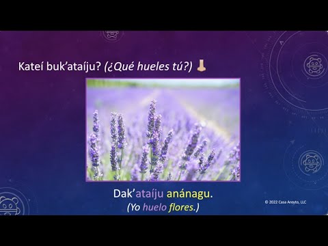 Let's Talk Taíno en español 50 - Sentido del olfato 👃🏼