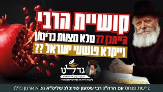 קנאות לשמה או עצבים נרעשים בלע"ז – כיצד נבחין? | הרה"ג רבי שמעון שנייבלג שליט”א | פרשת פנחס