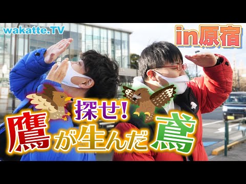 高学歴な親と低学歴な子!? 探せ！\鷹\が生んだ\鳶\ゲーム！【wakatte.TV】#504