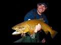 Hook Shots: Mousing Nighttime Browns