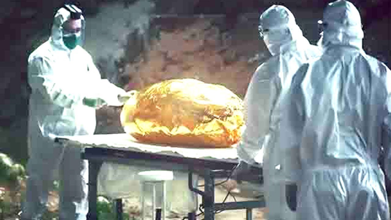 Thumbnail Download HD Thumbnail (1280x720)