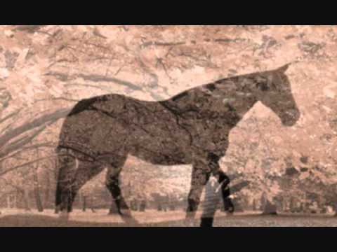 Tony Benn - Black Horse