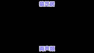 【両声類】猿芝居 / なとり 歌ってみた by Shizuki【VRChat】#shorts