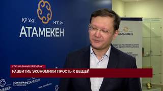 Развитие экономики простых вещей