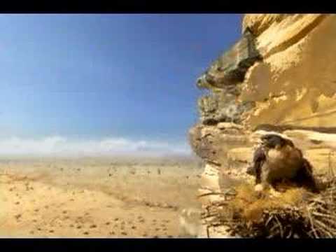 Excitebike 64 Commercial (Cliff)