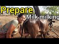 Viral Milk Cow Making Vlog
