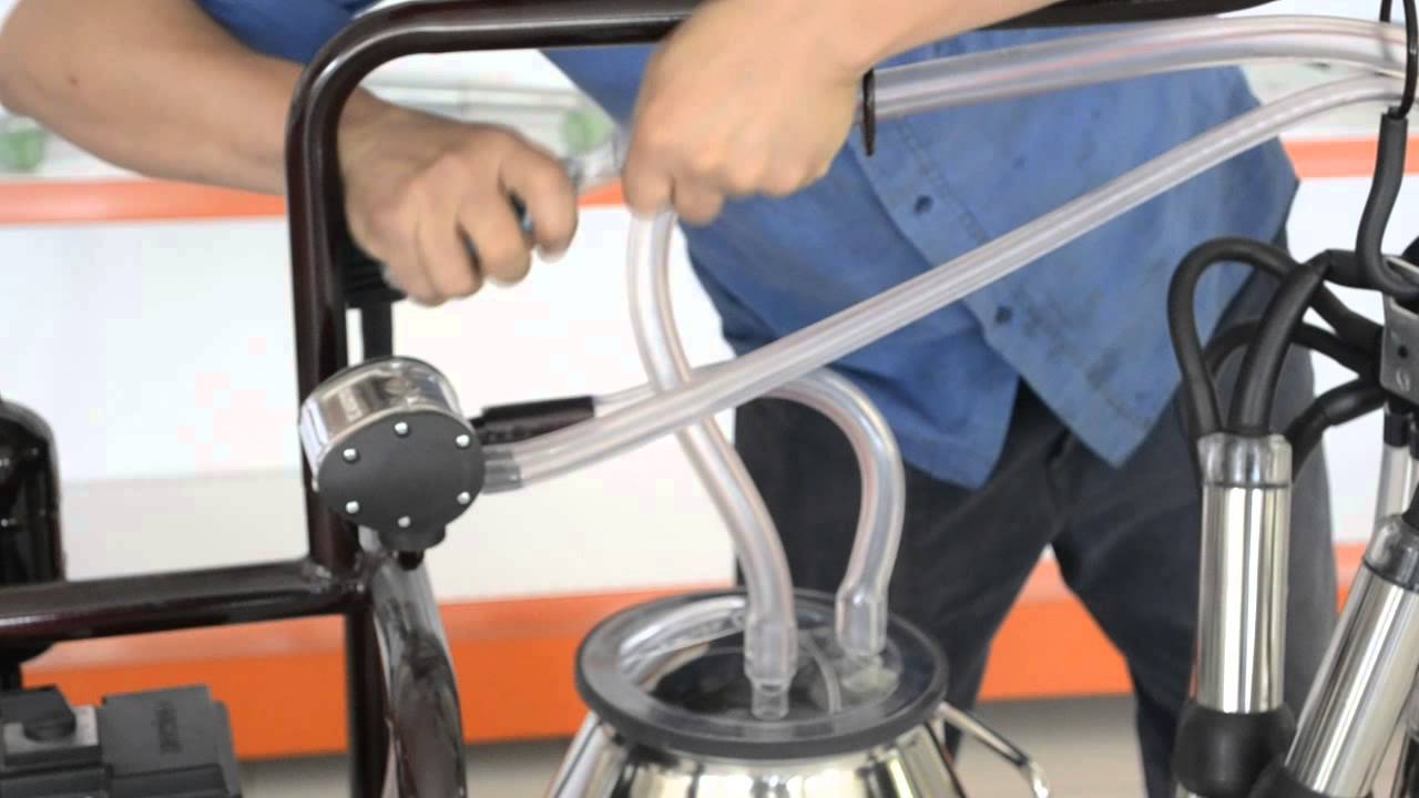 How to connect the mastitis detector to the milking machines