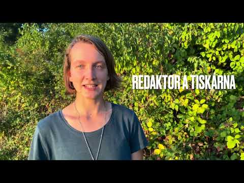 Přichází Poslední léto - Cesta, která mi změnila život