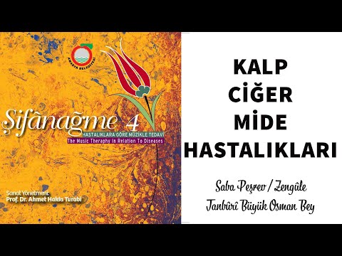 Hastalıklara Göre Müzik İle Tedavi | Kalp, Ciğer ve Mide Hastalıkları - şifanağme 4